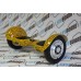 Titan - Leopard 10 Inch